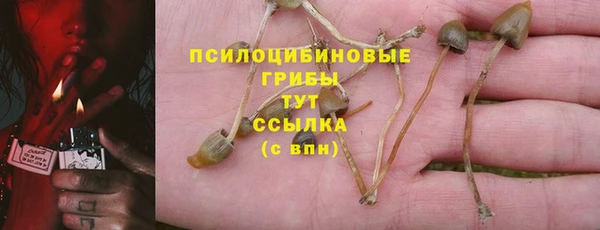 mdpv Арсеньев
