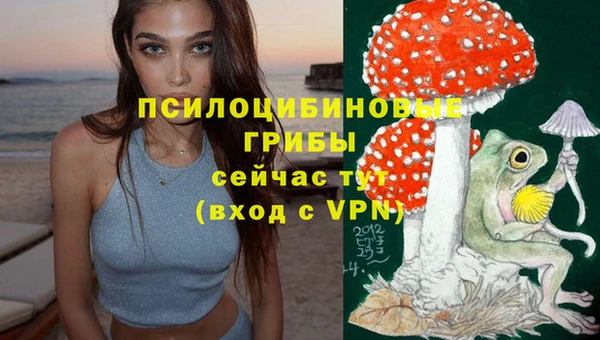 mdpv Арсеньев