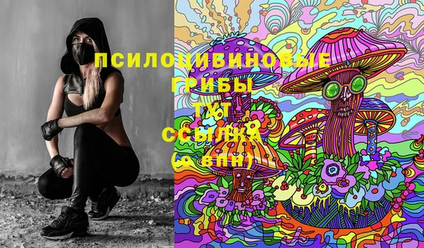 Альфа ПВП Армянск
